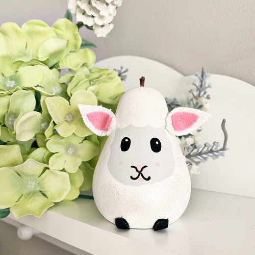 Mini Lamb 🐑 - Styled By Sally